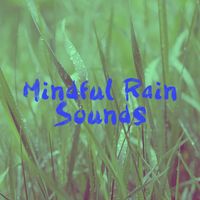 Rain Sounds, Rain for Deep Sleep and Soothing Sounds - Mindful Rain Sounds