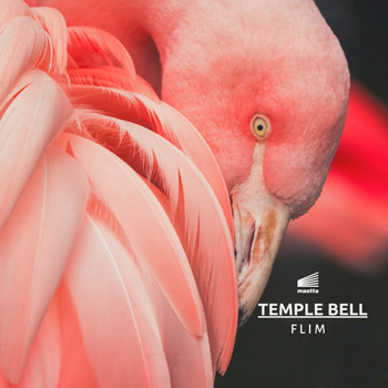 Flim - Temple Bells