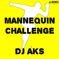 Dj Aks - Mannequin Challenge