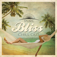 Various Artists - Pure Bliss Chill Out