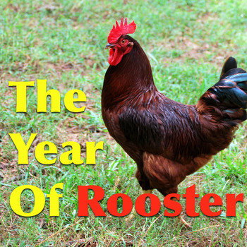 Various Artists - The Year Of Rooster
