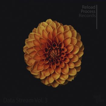 Various Artists - Data Stream, Vol. 3