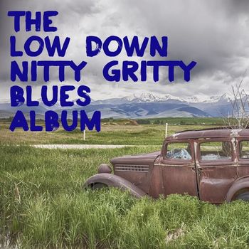 Various Artists - The Low Down Nitty Gritty Blues Album