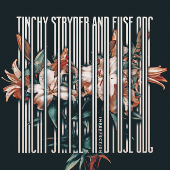 Tinchy Stryder - Imperfection - Mixes (Explicit)