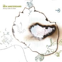 The New Amsterdams - Story Like a Scar (Explicit)