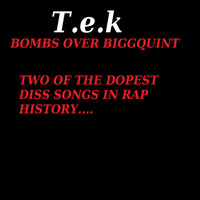 T.e.k. - Bombs Over Bigg Quint (Bigg Quint, Les G & 9Milli Diss) (Explicit)