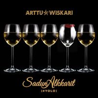 Arttu Wiskari - Sadun alkkarit (#YOLO)