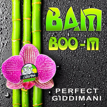 Perfect Giddimani - Bamboo-M