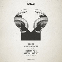 Samu.l - What is What EP