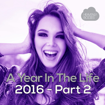 Various Artists - A Year In The Life 2016, Pt. 2