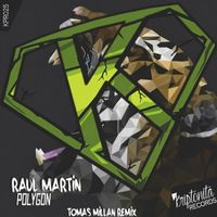Raul Martin - Polygon