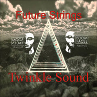 Twinkle Sound - Future Strings