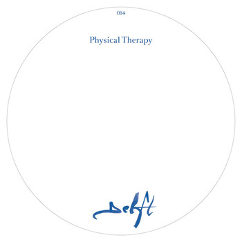 Physical Therapy - DELFT 14