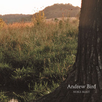 Andrew Bird - Noble Beast