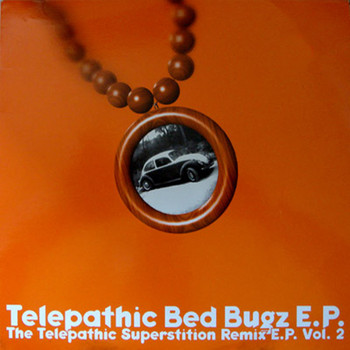 Steve Bug - Telepathic Bed Bugz - The Telepathic Superstition Remix EP, Vol. 2