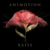 Animotion - Raise Your Expectations