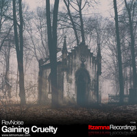 RevNoise - Gaining Cruelty