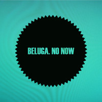 beluga. - No Now