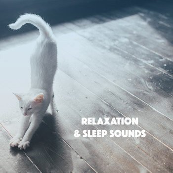 Relaxing Rain Sounds, Sleep Rain and Soothing Sounds - Relaxation & Sleep Sounds