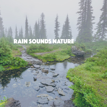 White Noise Research, Sounds of Nature Relaxation and Nature Sounds Artists - Rain Sounds Nature