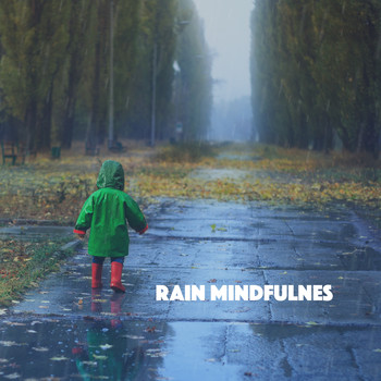Rain, Ocean Sounds and Rainfall - Rain Mindfulnes