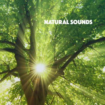 White Noise Research, Sounds of Nature Relaxation and Nature Sounds Artists - Natural Sounds