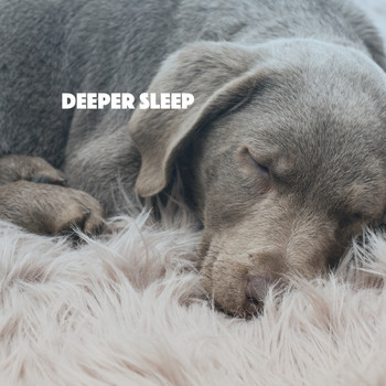 White Noise Research, Sounds of Nature Relaxation and Nature Sounds Artists - Deeper Sleep