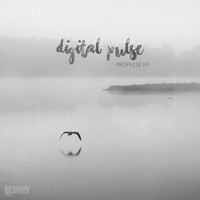 Digital Pulse - Propulse EP