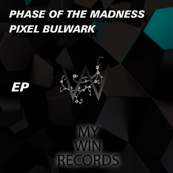 Phase Of The Madness - Pixel Bulwark