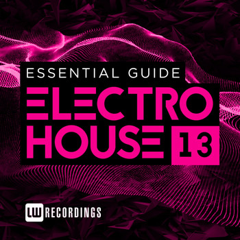 Various Artists - Essential Guide: Electro House, Vol. 13