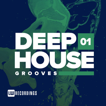 Various Artists - Deep House Grooves, Vol. 01