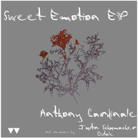 Anthony Cardinale - Sweet Emotions EP