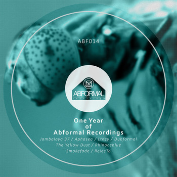 Various Artists - 1 Year of Abformal Recordings