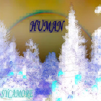 Sycamore - Human