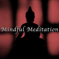 Yoga Sounds, Meditation Rain Sounds and Relaxing Music Therapy - Mindful Meditation