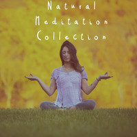 Yoga Sounds, Meditation Rain Sounds and Relaxing Music Therapy - Natural Meditation Collection