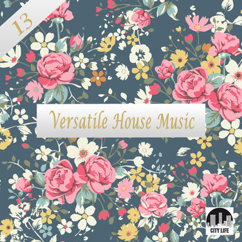 Various Artists - Versatile House Music, Vol. 13
