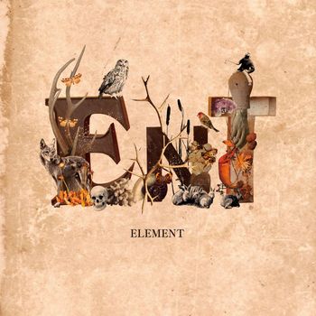 Ent - Element