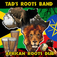 Tad's Roots Band - African Roots Dub