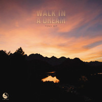 Tony Sit - Walk in a Dream