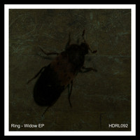 Ring - Widow EP