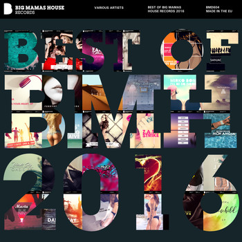 Various Artists - Best of Big Mamas House Records 2016