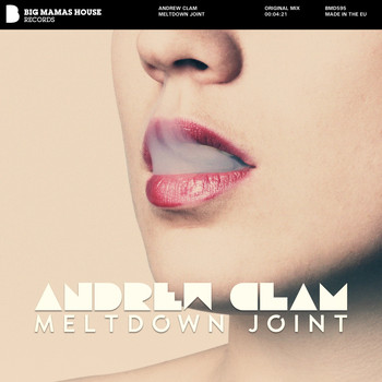 Andrew Clam - Meltdown Joint