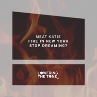 Meat Katie - Fire In New York & Stop Dreaming?