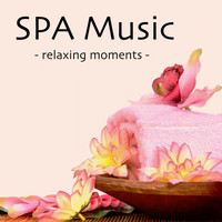 Deep Sleep, Relaxing Mindfulness Meditation Relaxation Maestro, Nature Sounds Nature Music - SPA Music - Relaxing Moments