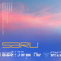Saru - Terminal - EP