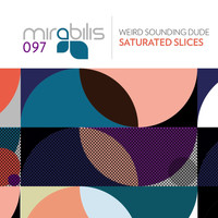 Weird Sounding Dude - Saturated Slices