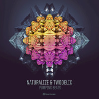 Naturalize, Twodelic - Pumping Beats