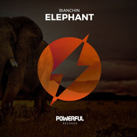 Bianchin - Elephant
