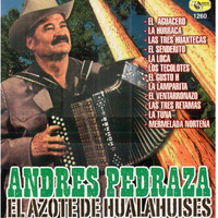 Andres Pedraza - El Azote de Hualahuises
